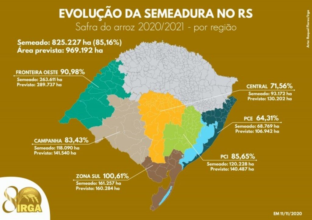 Lavoura de arroz em Cachoeira ultrapassada 80% da área plantada