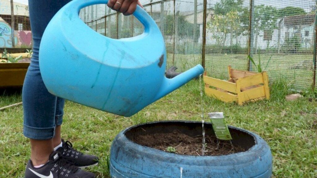 Novo Ciclo do Programa Saúde na Escola recebe adesão até 16 de fevereiro