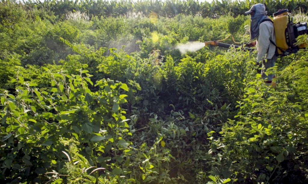 Deputados aprovam PL que facilita entrada de agrotóxicos no Brasil