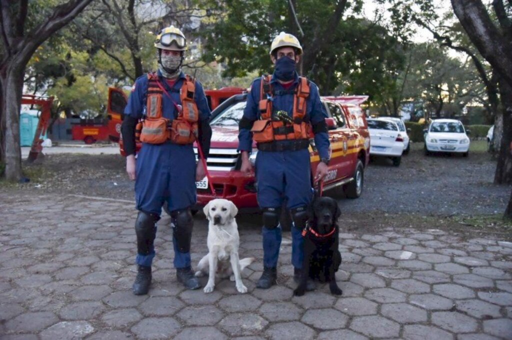 Equipe de cães dos Bombeiros atua em apoio a buscas após incêndio na SSP