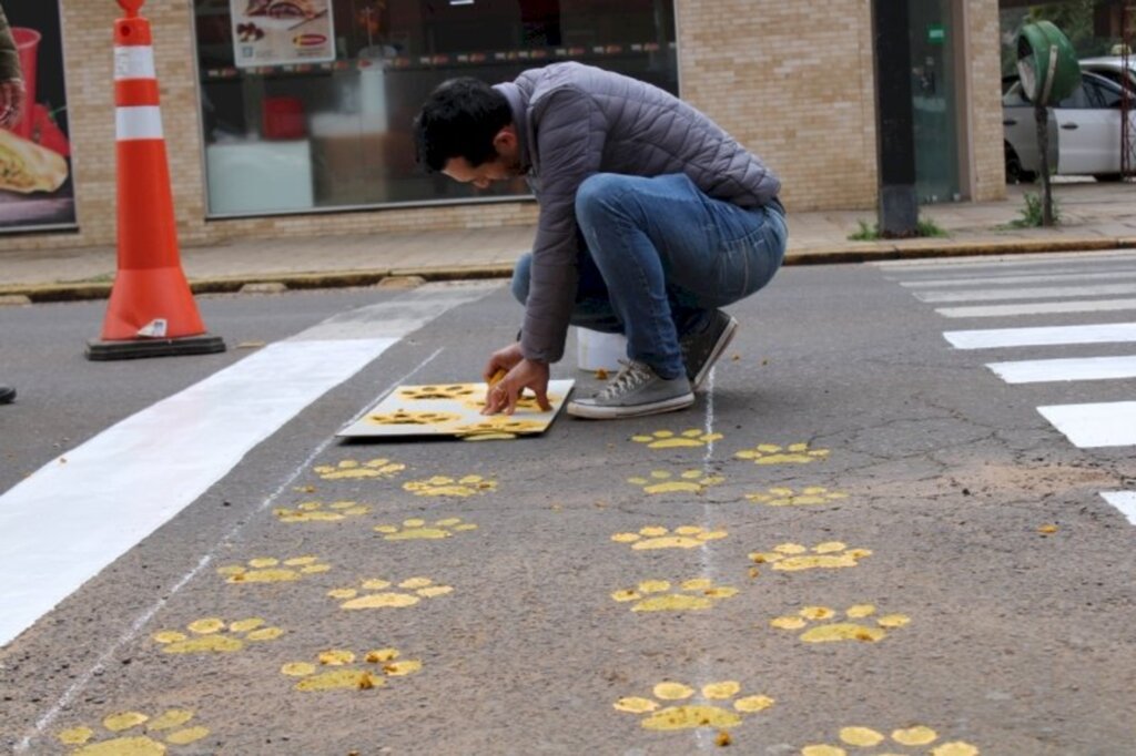 Patinhas são pintadas em faixa de pedestres como alerta para cuidado com os animais