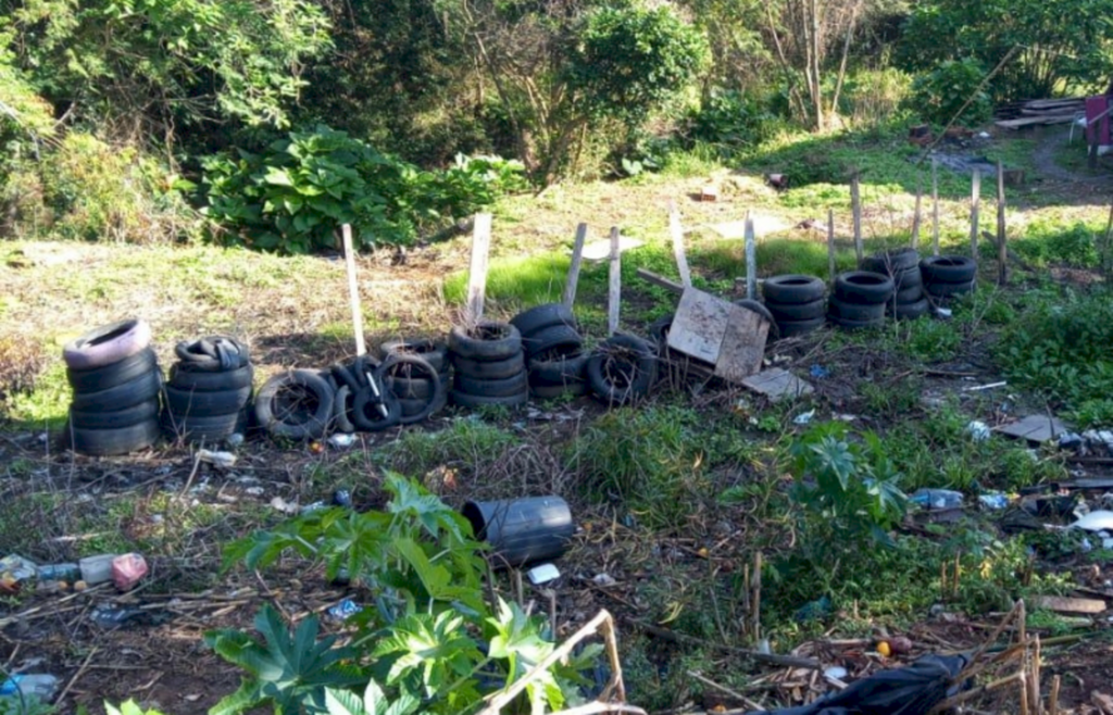 Mutirão já percorreu mais de 5,5 mil estabelecimentos