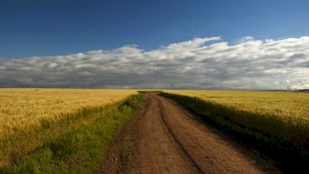 RS terá tempo seco e temperaturas amenas nos próximos sete dias