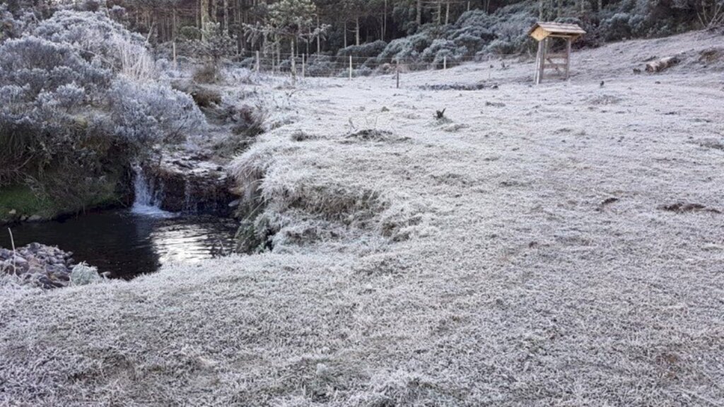 Previsão é de frio e geadas no RS nos próximos dias