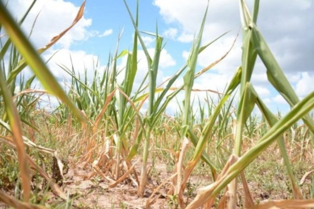 Zona Rural de São Gabriel apresenta falta de água para consumo humano