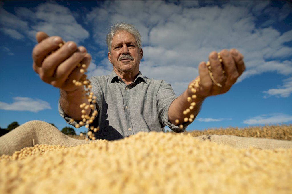 Sicredi e o protagonismo no agronegócio do RS