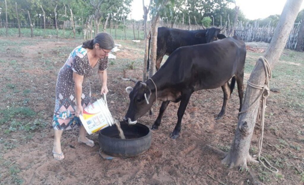 Incra destina R$ 500 mil para fomento mulher