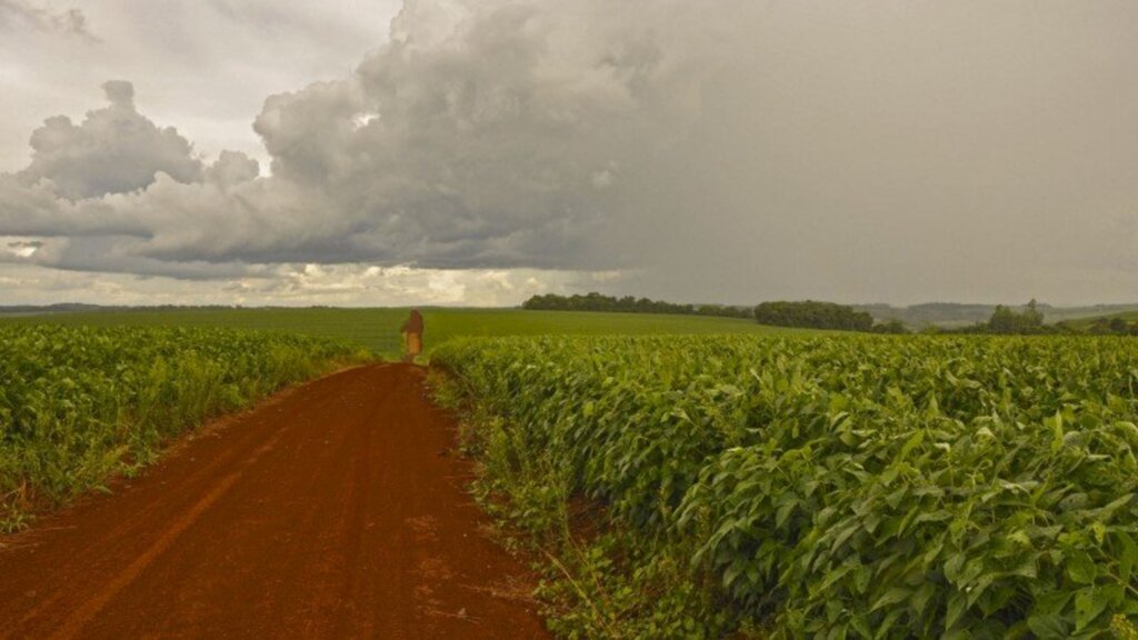 La Niña Deve Continuar No Verão: Aumento De Chuva É Esperado No Rio Grande Do Sul