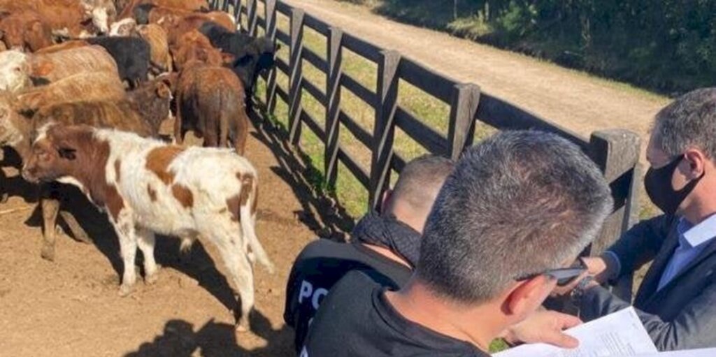 Polícia realiza etapa da operação que apura golpe na pecuária em São Gabriel