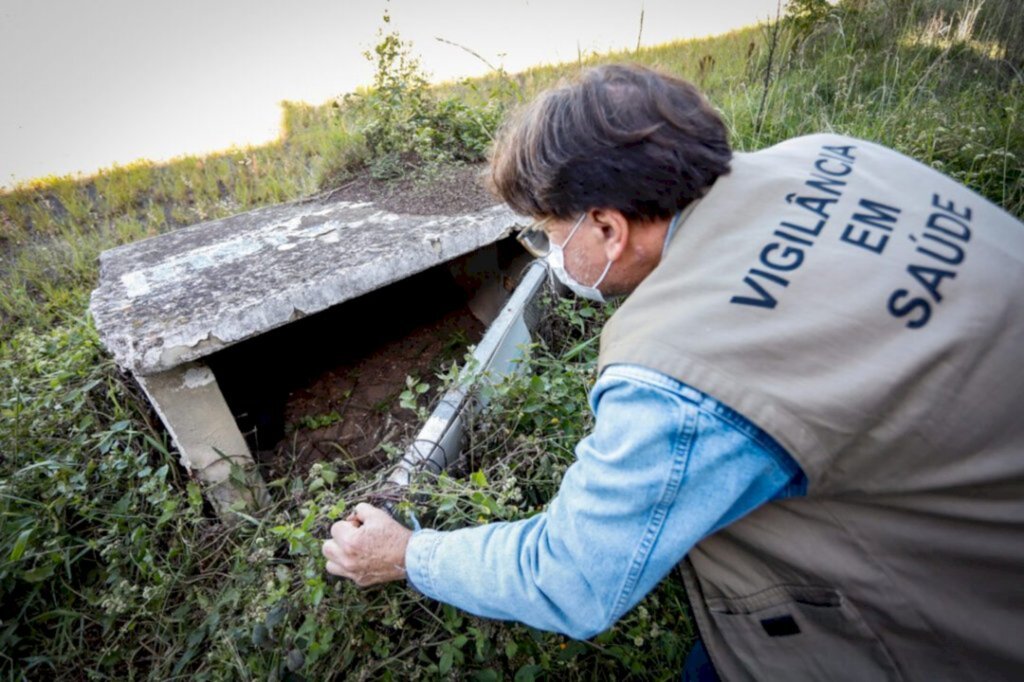 RS já registra 8 mortes por dengue em 2022