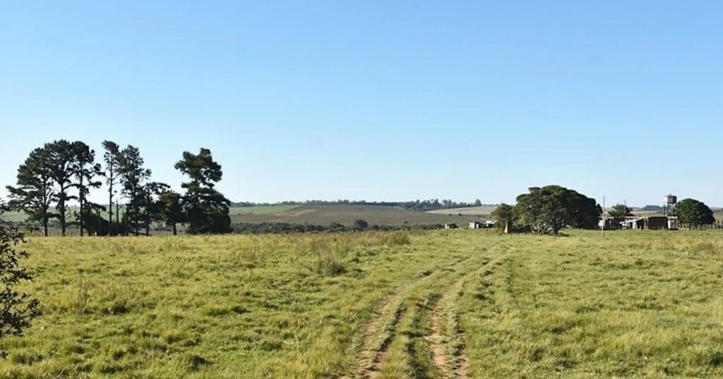 Área Rural é leiloada por R$ 9,6 milhões