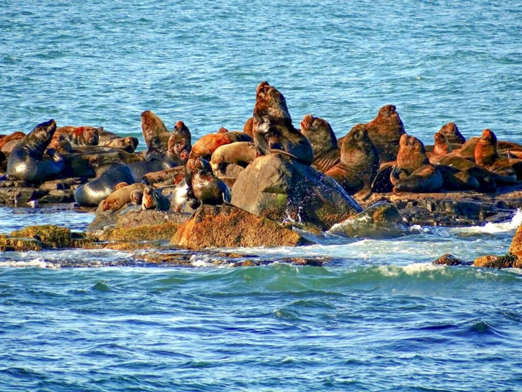 TORRES: MAIS BELA PRAIA GAÚCHA SE DESTACA NO GEOPARQUE CÂNIONS DO SUL