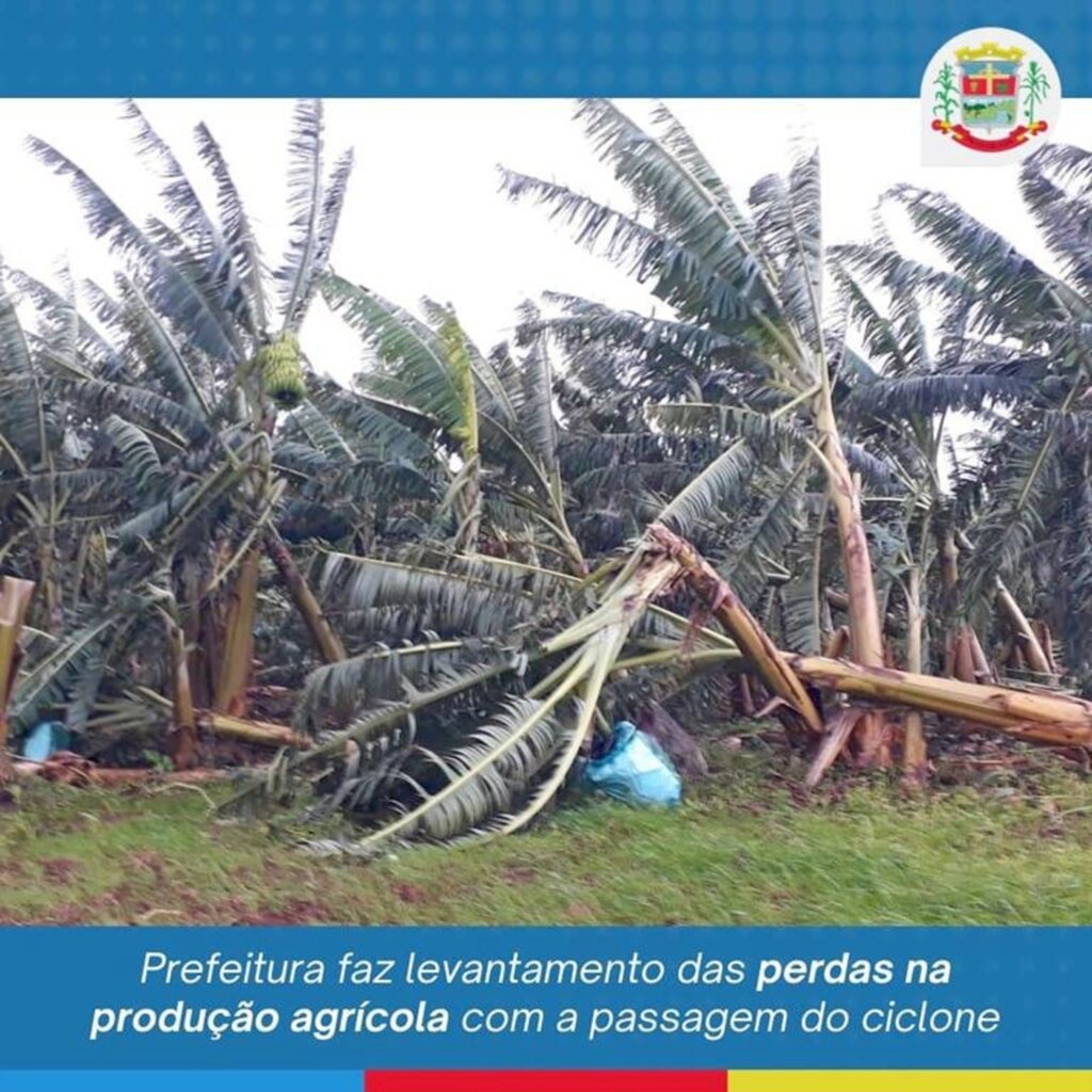 PREFEITURA DECRETA SITUAÇÃO DE EMERGÊNCIA APÓS PERDAS NA PRODUÇÃO AGRÍCOLA EM PRAIA GRANDE