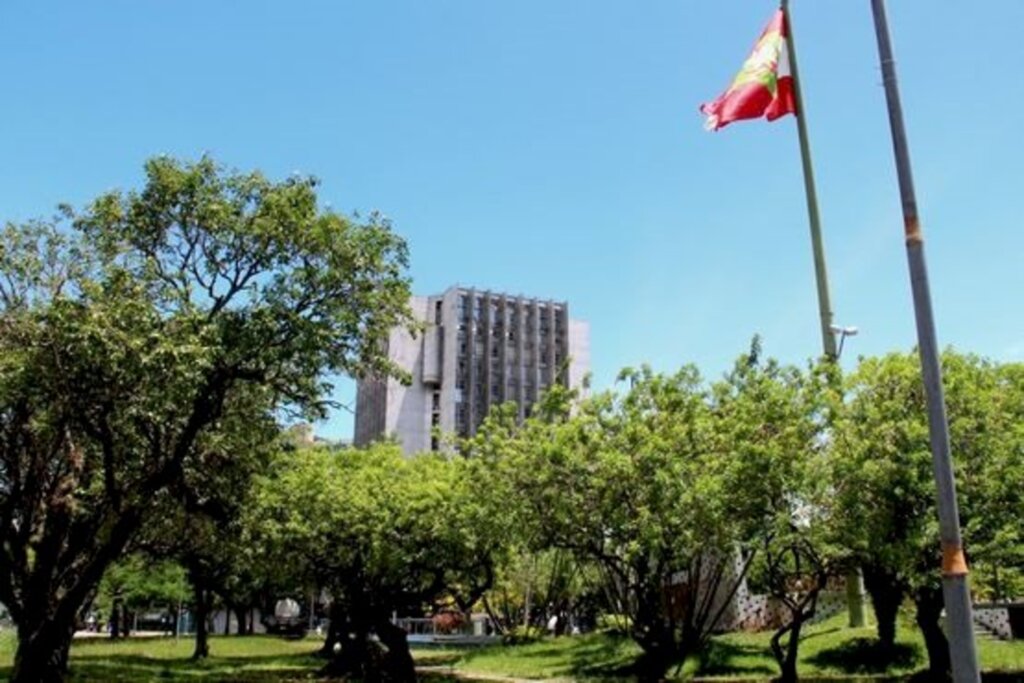 Divulgação - 