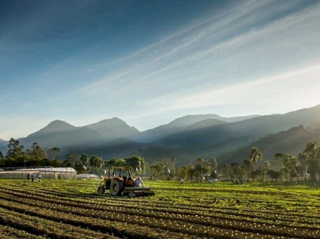 Divulgação/Epagri - 