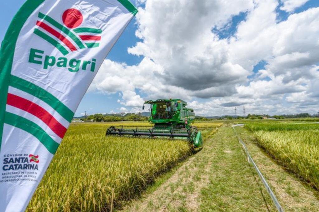 COM EXPECTATIVA DE BOA SAFRA, A EPAGRI SEDIA  A 4ª ABERTURA OFICIAL DA COLHEITA DO ARROZ