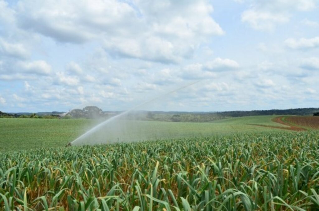 Ascom/Epagri - Em 2022, o Programa SC Mais Solo e Água terá R$ 100 milhões disponíveis para ampliar a resistência hídrica (Foto: Ascom/Epagri)
