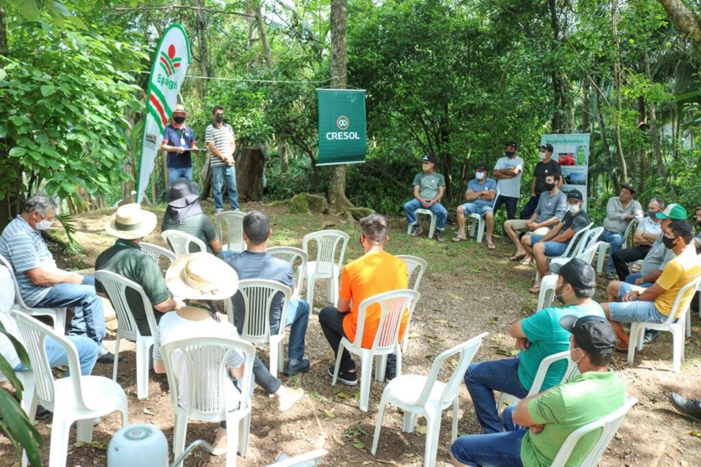 1º DIA DE CAMPO SOBRE A CULTURA DA PITAYA  É REALIZADO EM PRAIA GRANDE