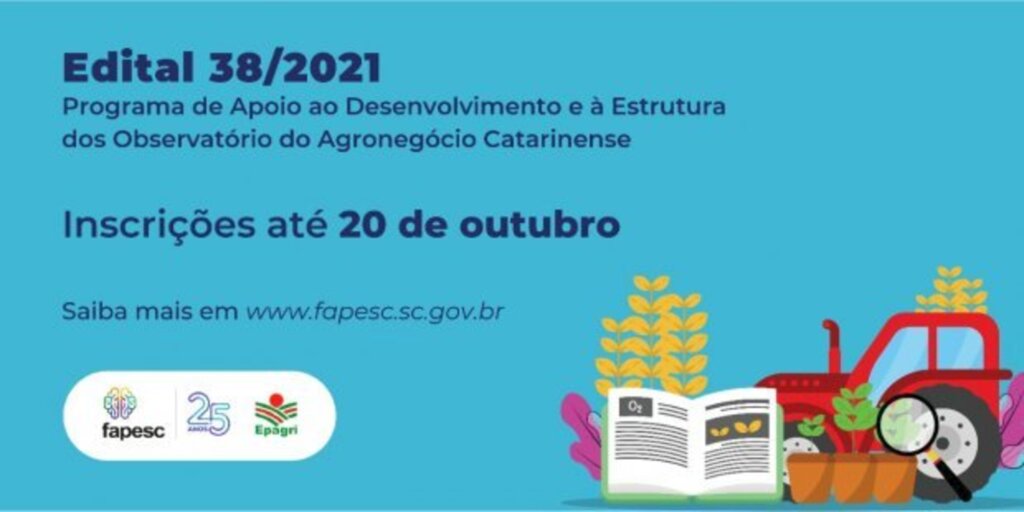 Divulgação - 