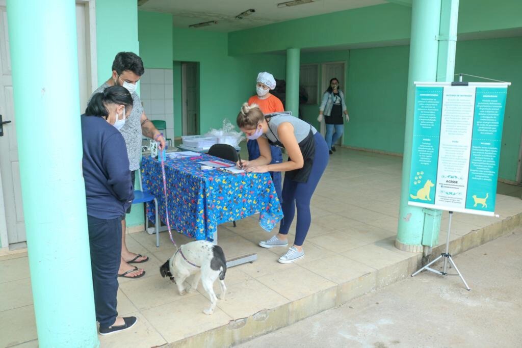 MAIS DE 200 ANIMAIS SÃO CONTEMPLADOS NO 1º MUTIRÃO DE CASTRAÇÃO DE CÃES E GATOS