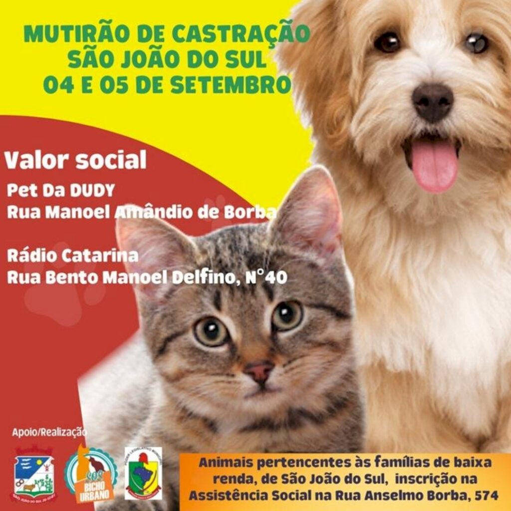 MUTIRÃO DE CASTRAÇÃO ACONTECE NESTE  FIM DE SEMANA EM SÃO JOÃO DO SUL