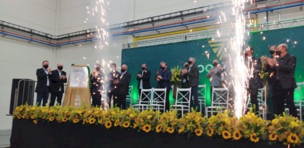 Divulgação - 