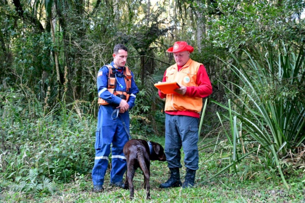 Imagem 2