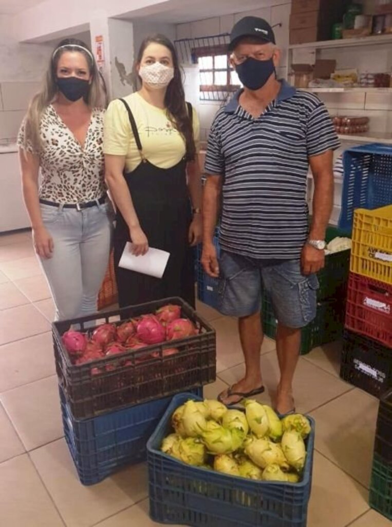 Natan Porto/Epagri - Além de beneficiar os produtores locais, a introdução da pitaia na alimentação escolar também ajuda na divulgação da fruta junto aos futuros consumidores