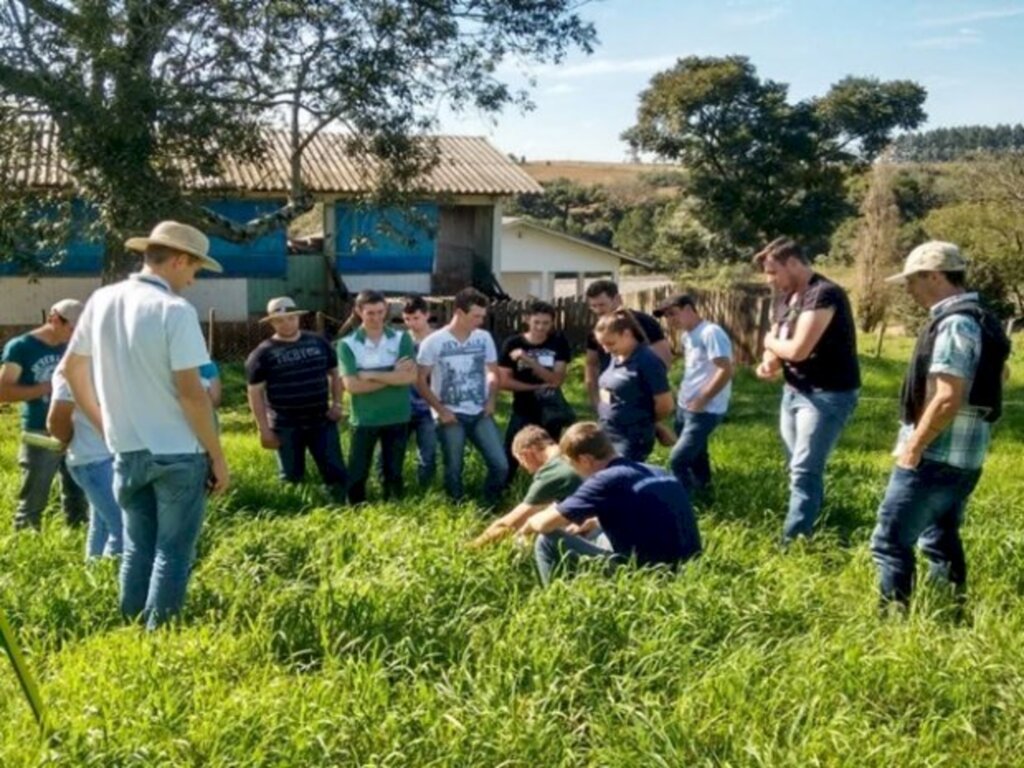 Divulgação/Epagri - 