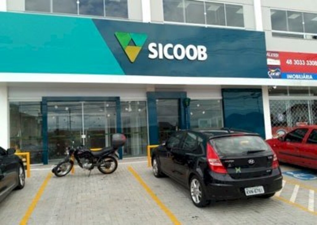 Divulgação - 