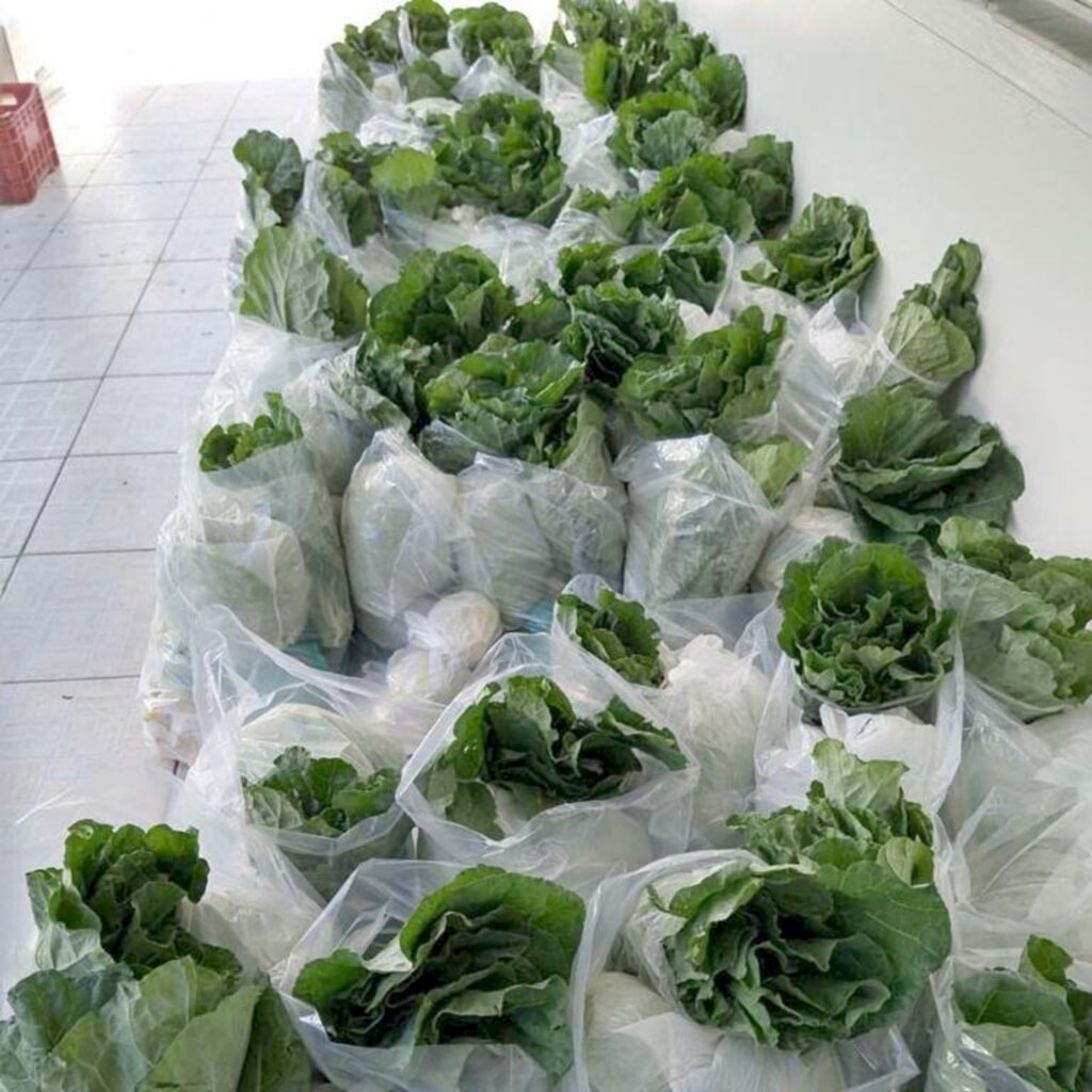 MUNICÍPIO REALIZA MAIS UMA ENTREGA DO PROGRAMA DE AQUISIÇÃO DE ALIMENTOS EM TORRES