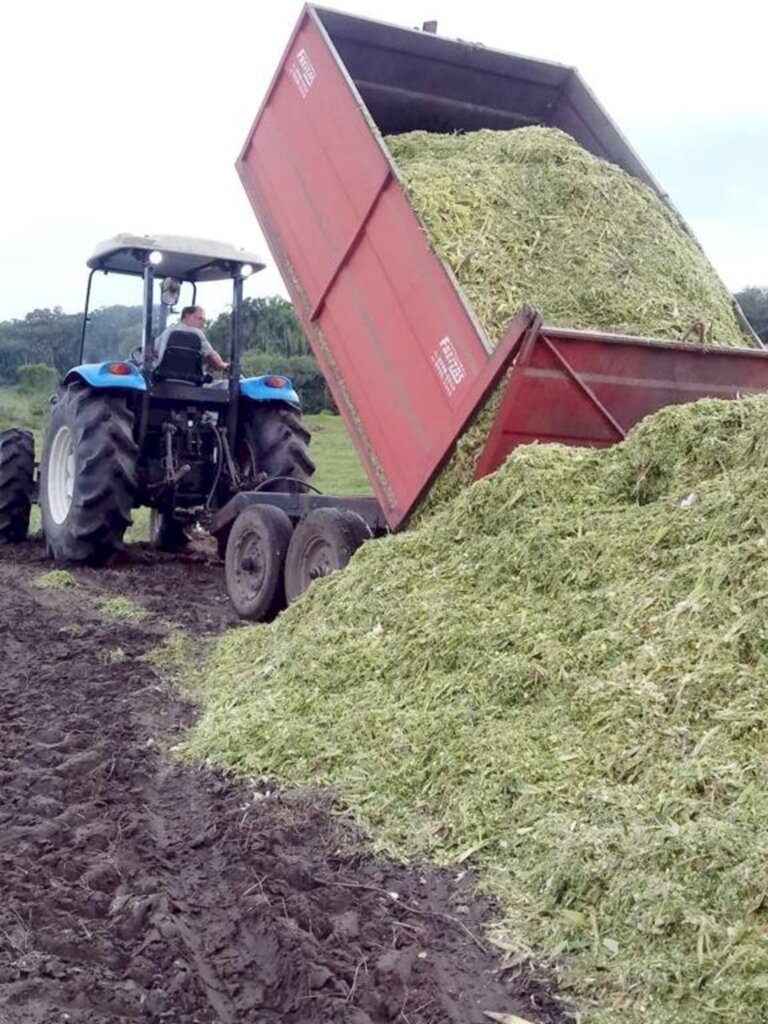 SECRETARIA DE AGRICULTURA AUXILIA DESDE A  PREPARAÇÃO DO SOLO ATÉ A COLHEITA DO MILHO