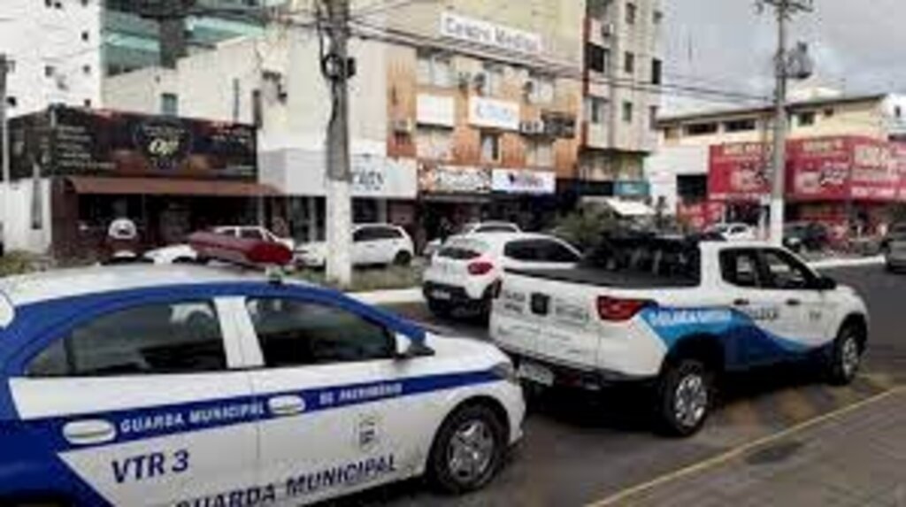 Divulgação - 