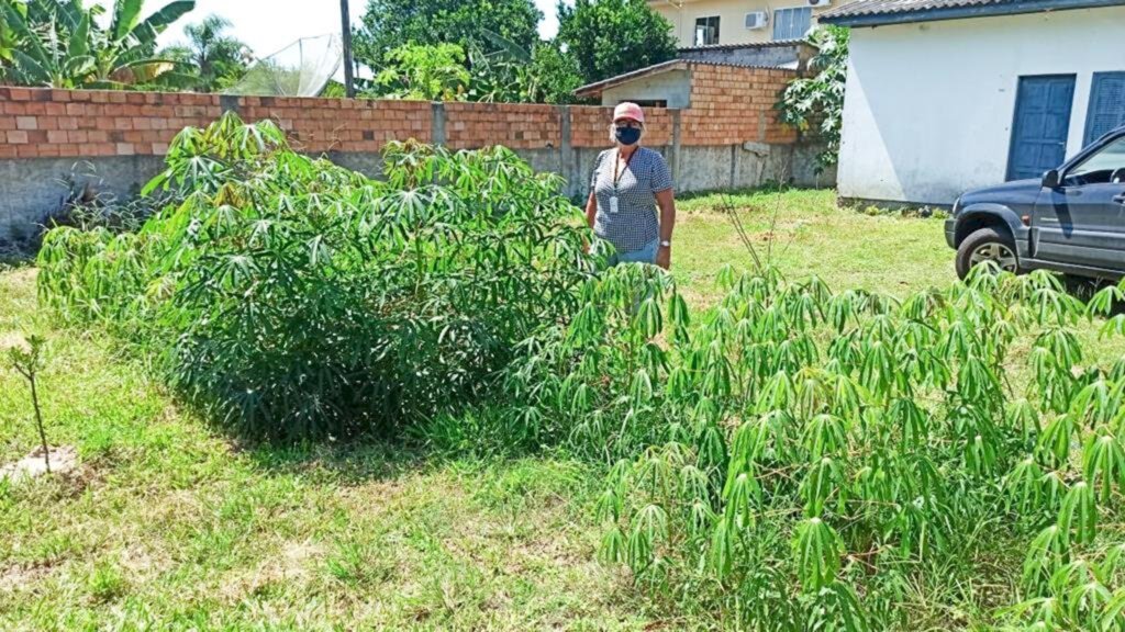 UNIDADE EDUCATIVA DE AUTOCONSUMO DA EPAGRI DE SÃO JOÃO DO SUL