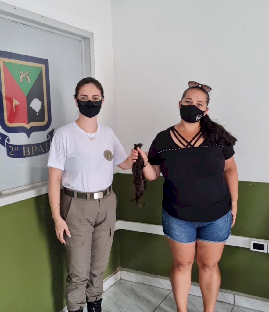 Divulgação BM - 