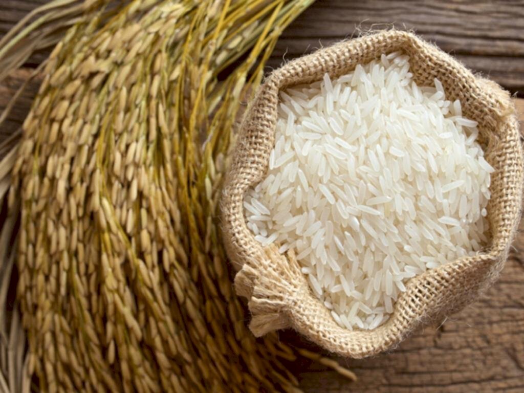 ARROZ DEVERÁ TER VALORIZAÇÃO APÓS INÍCIO DA COLHEITA NO RIO GRANDE DO SUL