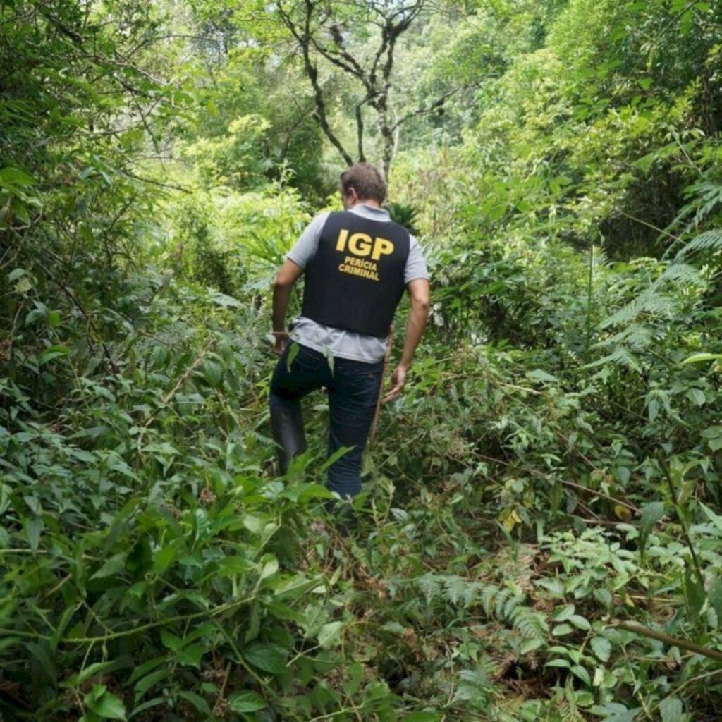 Divulgação / IGP/SC - 