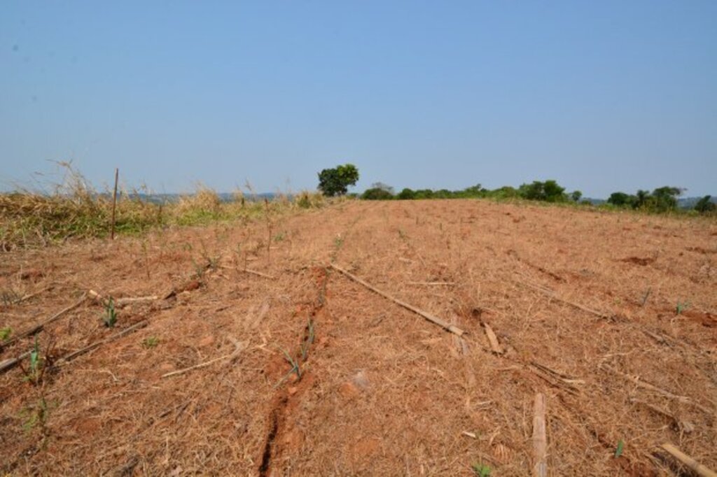Aires Mariga / Epagri - 