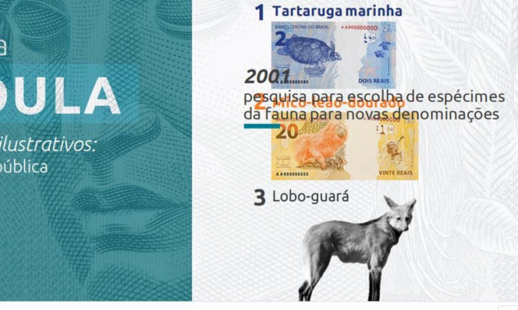 © Divulgação Banco Central - 