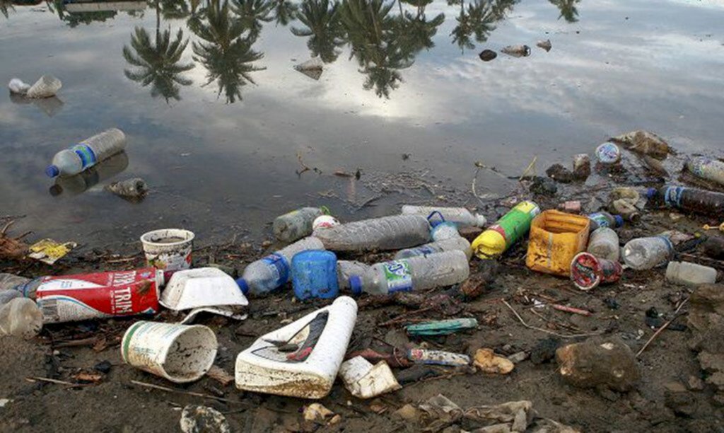 © Photo: Martine Perret/ONU Meio Ambiente - 