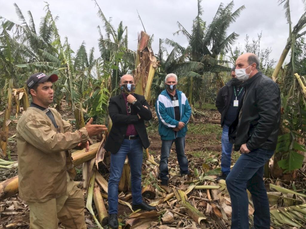 ZÉ MILTON LEVANTA DADOS DOS ESTRAGOS DO 'CICLONE BOMBA' NA AGRICULTURA PARA APRESENTAR PROPOSTAS DE APOIO AO SETOR