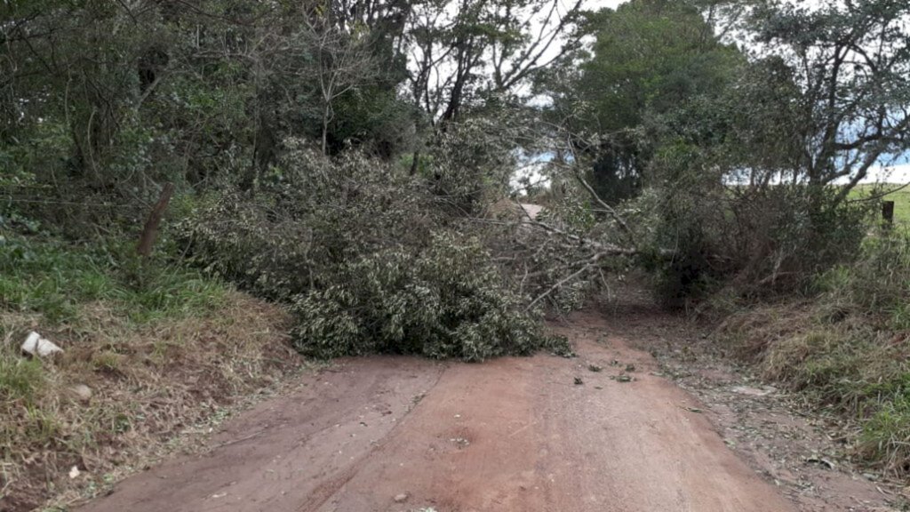 VENTOS DE ATÉ 100 KM/H CAUSAM ESTRAGOS EM TORRES