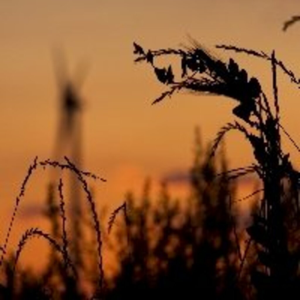 Pixabay - 