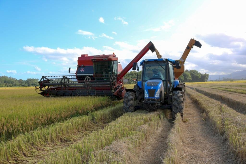 COOPERATIVAS DE SC CRESCERAM 13,7% EM 2019