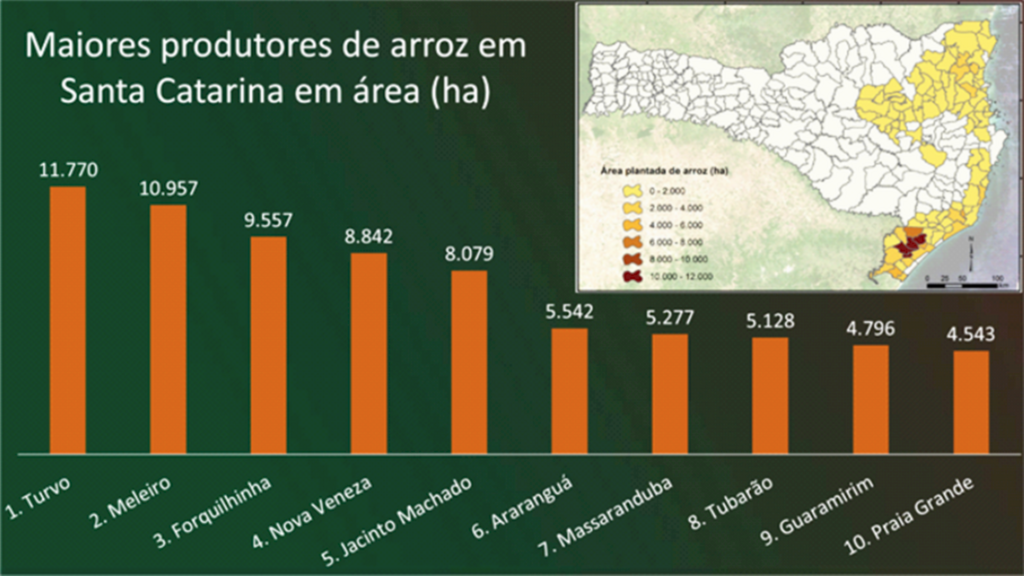 EPAGRI UTILIZA SATÉLITES PARA REALIZAR MAPEAMENTO DA CULTURA DO ARROZ EM SANTA CATARINA