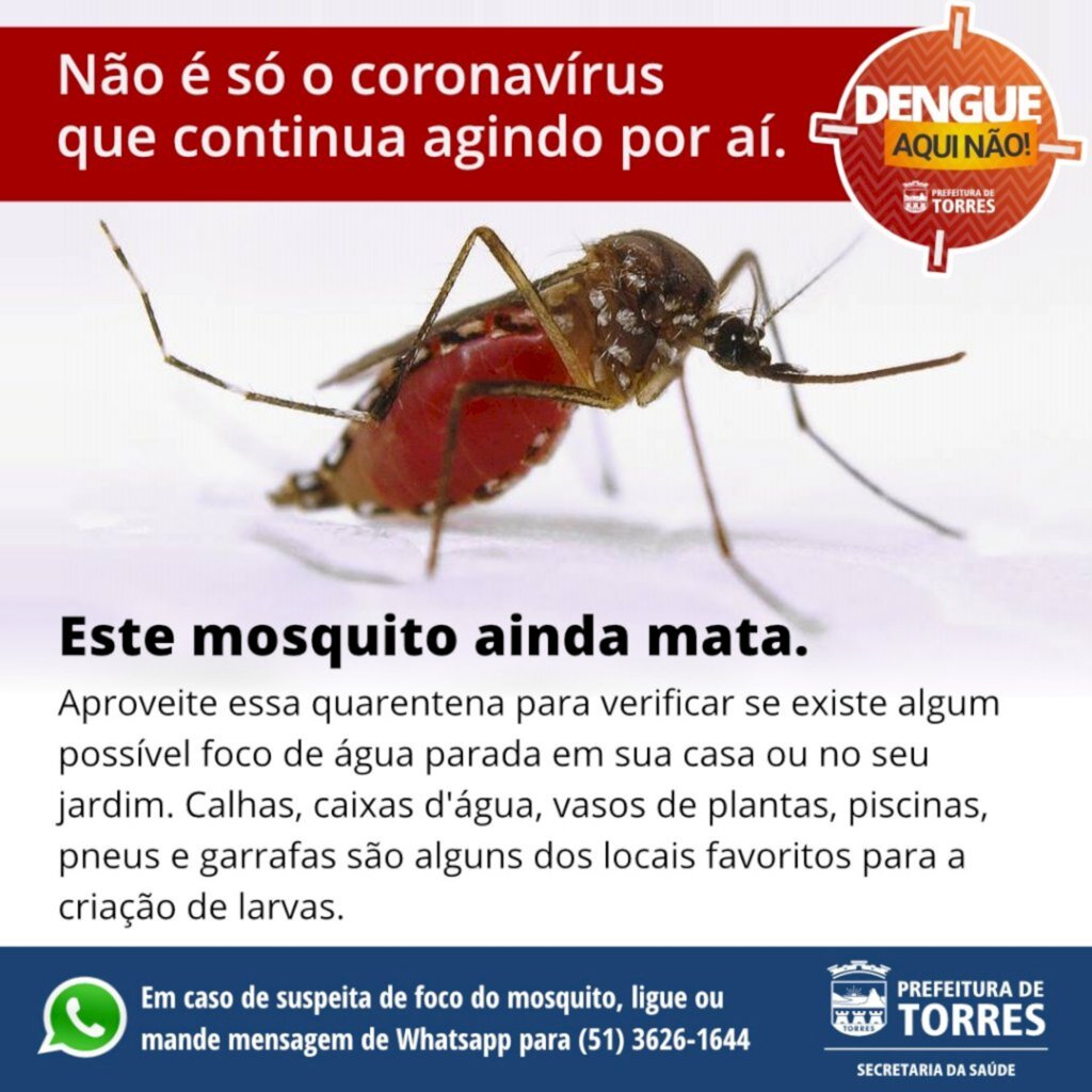 MESMO EM TEMPO DE CORONAVÍRUS, NÃO DÁ PARA ESQUECER DO MOSQUITO AEDES AEGYPTI