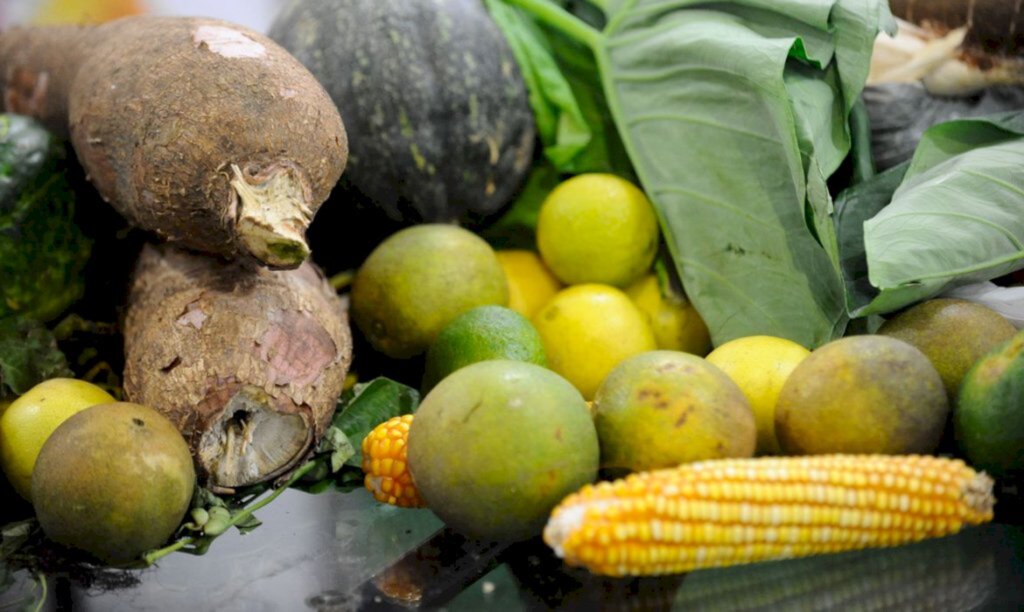 METADE DE CALORIAS CONSUMIDAS POR BRASILEIROS VEM DE ALIMENTOS FRESCOS