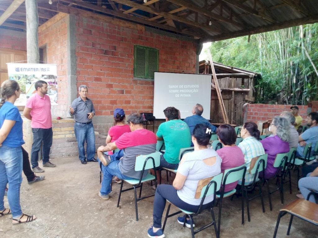 SECRETARIA DA AGRICULTURA E EMATER REALIZAM  ENCONTRO COM PRODUTORES DE PITAYA EM MAMPITUBA