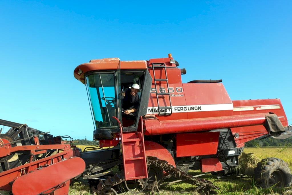 COLHEITA DO ARROZ INICIA COM BOAS  PERSPECTIVAS DE RENDIMENTO