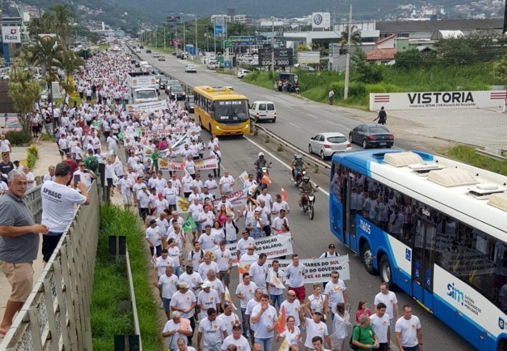 Divulgação - 